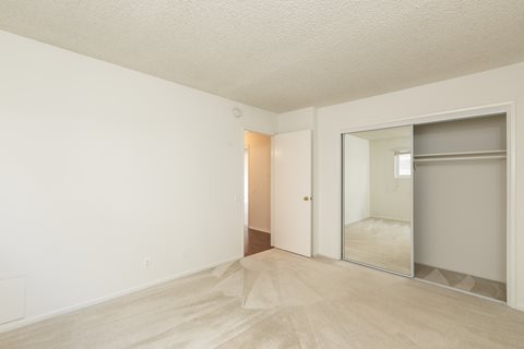 Bedroom with Carpet Floors and Mirrored Wardrobe Closet
